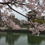 Sakura mit A-Bomb Dome Sakura mit A-Bomb Dome