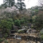 Momijidani Park Momijidani Park