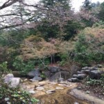 Momijidani Park Momijidani Park