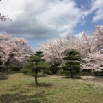 Koko-en - Park der Burg Koko-en - Park der Burg
