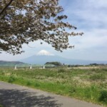 Nochmal Fuji Nochmal Fuji