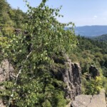Überblick über die Felsen