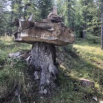 Da hatte wer Langeweile