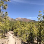 Pinienwald und Caldera