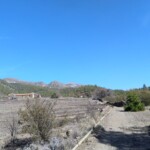 Kartoffeläcker und Landschaft