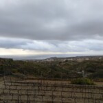 Blick von der Finca gen Arico