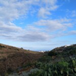 Blick auf Arico und das Meer