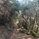 Wanderwege im Anaga Gebirge