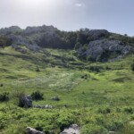 Hier war/ist ein Feld!? Hier war/ist ein Feld!?