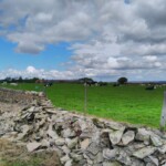 Auch die Trockenmauern werden neu aufgebaut Auch die Trockenmauern werden neu aufgebaut