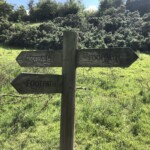 Don't you say? Don't you say?