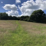 "Right of way" "Right of way"