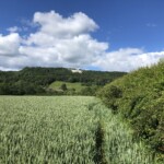 Kilburn horse mit "Wanderweg" Kilburn horse mit "Wanderweg"