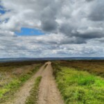 Weg durchs Moor Weg durchs Moor