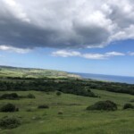 Beginn der Wanderung - Robin Hood's Bay im Blick Beginn der Wanderung - Robin Hood's Bay im Blick