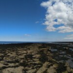 Robin Hood's Bay Robin Hood's Bay