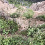 Ein wenig... steil Ein wenig... steil