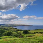 Rückblick... Rückblick...