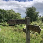 "The finest of england" "The finest of england"