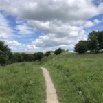 Wanderweg... Wanderweg...