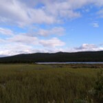 Beim Pålsbufjorden Beim Pålsbufjorden