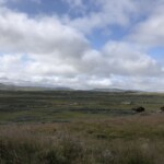 Wandern in der Hardangervidda Wandern in der Hardangervidda