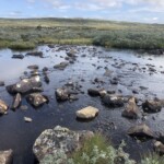 Wandern in der Hardangervidda Wandern in der Hardangervidda