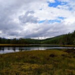 See bei Notodden See bei Notodden