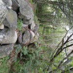 Eine sehr alte Mauer bei Helgeroa Eine sehr alte Mauer