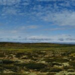 Hardangervidda Hardangervidda