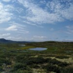 Hardangervidda Hardangervidda