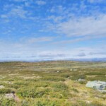 Hardangervidda Hardangervidda