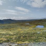 Hardangervidda Hardangervidda