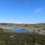 Hardangervidda Hardangervidda