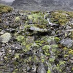 Am Bessvatnet Am Bessvatnet