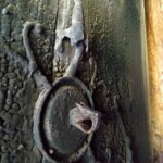 Drachen-Türöffner Stabkirche Hopperstad Drachen-Türöffner Stabkirche Hopperstad