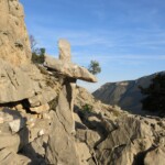 Ein netter Tisch... Tisch