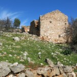 Schicke Wiese mit altem Haus Blumenwiese