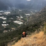 Da kommt noch wer... Da kommt noch wer...