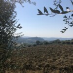 Region Marken Region Marken