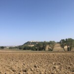 Region Marken Region Marken