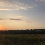 Abendstimmung in Marken Abendstimmung in Marken