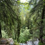 Blick hinab vom Wasserfall Blick hinab