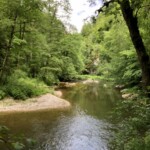 In der Wutachschlucht In der Wutachschlucht