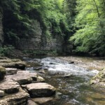 In der Wutachschlucht In der Wutachschlucht