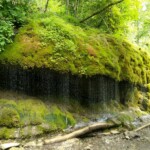 In der Wutachschlucht In der Wutachschlucht