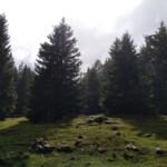 Wandern über Meran Wandern über Meran