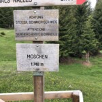 Eine Aufforderung? Eine Aufforderung?