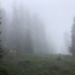 Ein paar Wolken Ein paar Wolken