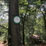 Wandern - Froschfels! Wandern - Froschfels!